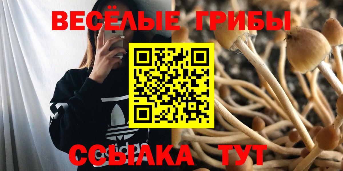 Псилоцибиновые грибы ЛСД Котельники