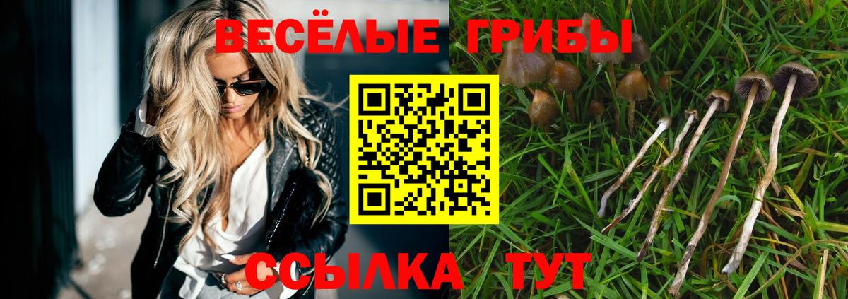 Котельники  Галлюциногенные грибы мухоморы  Вход с VPN 